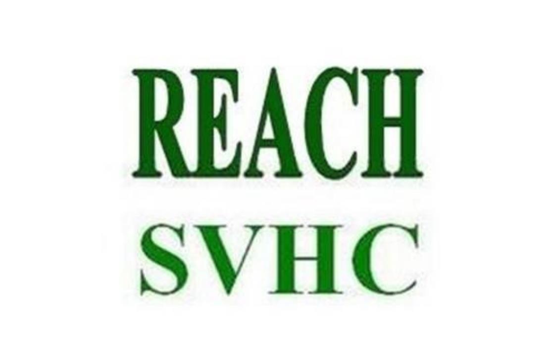 REACH12.jpg REACH12.jpg